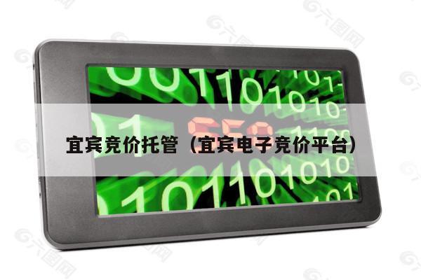 宜宾竞价托管（宜宾电子竞价平台）
