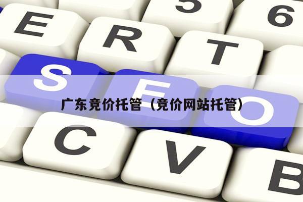 广东竞价托管（竞价网站托管）