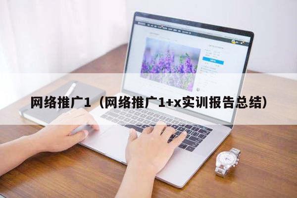 网络推广1（网络推广1+x实训报告总结）