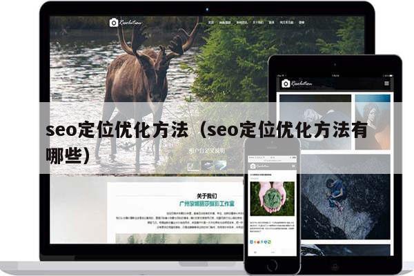 seo定位优化方法（seo定位优化方法有哪些）