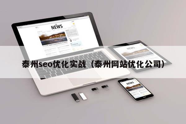 泰州seo优化实战（泰州网站优化公司）