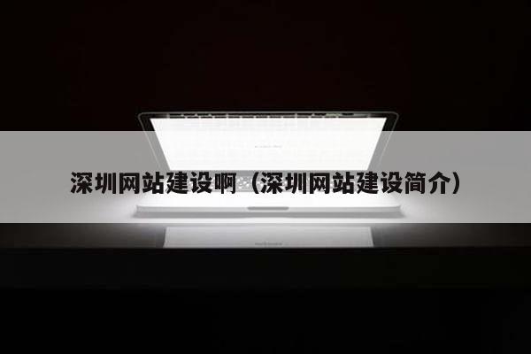 深圳网站建设啊（深圳网站建设简介）