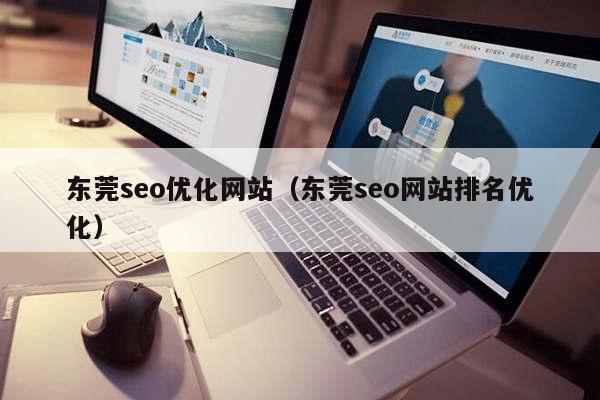 东莞seo优化网站（东莞seo网站排名优化）