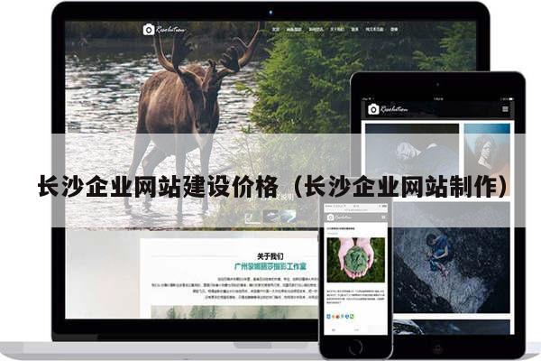 长沙企业网站建设价格（长沙企业网站制作）
