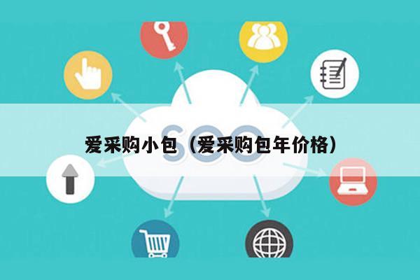 爱采购小包（爱采购包年价格）