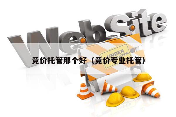 竞价托管那个好（竞价专业托管）