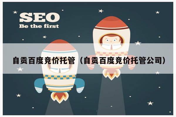 自贡百度竞价托管（自贡百度竞价托管公司）