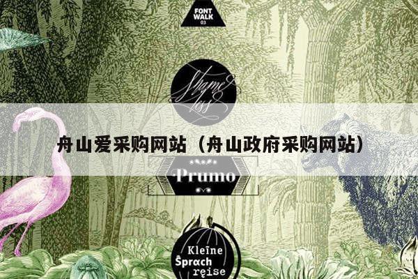舟山爱采购网站（舟山政府采购网站）