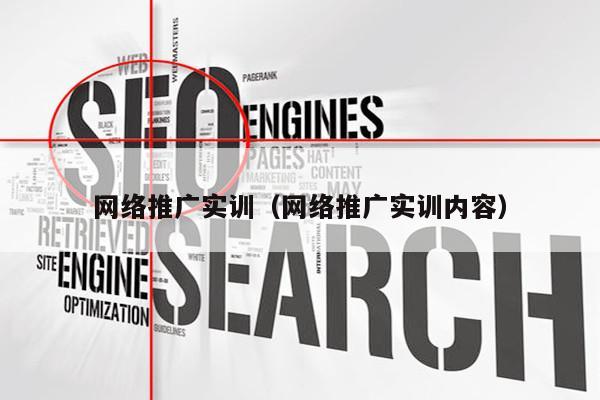 网络推广实训（网络推广实训内容）