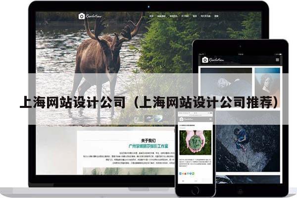 上海网站设计公司（上海网站设计公司推荐）