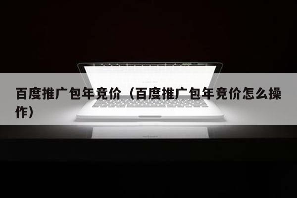 百度推广包年竞价（百度推广包年竞价怎么操作）